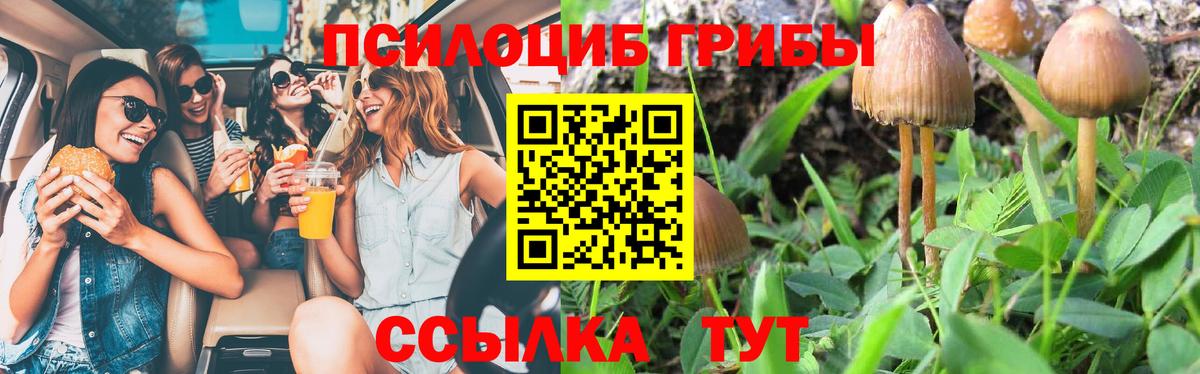 Тельмана  где купить   Псилоцибиновые грибы мухоморы  Вход с VPN  Галлюциногенные грибы ЛСД 