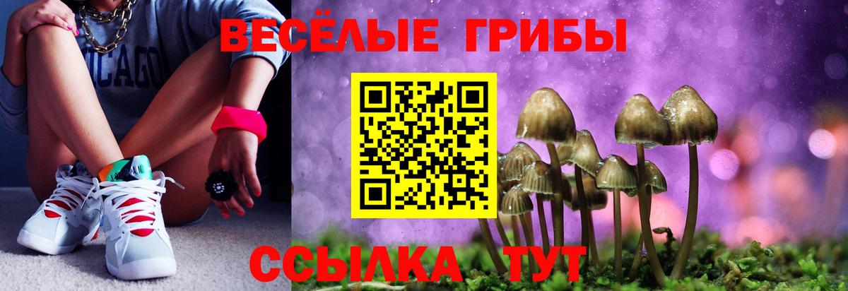 Галлюциногенные грибы Psilocybine cubensis Тельмана