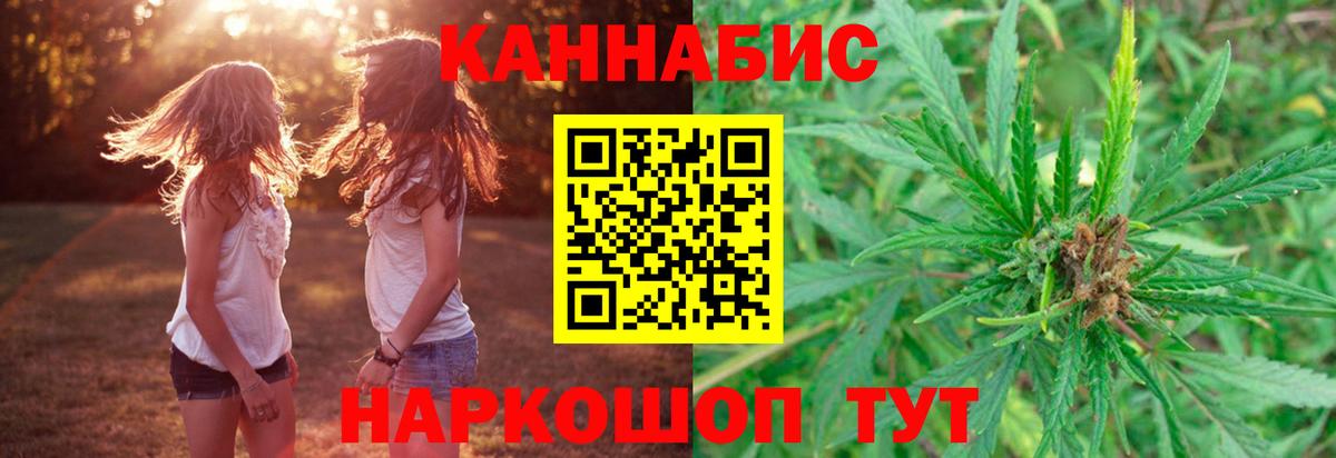 Шишки марихуана план Тельмана